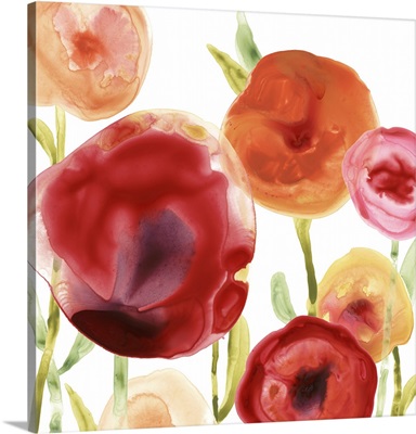Poppy Patch III