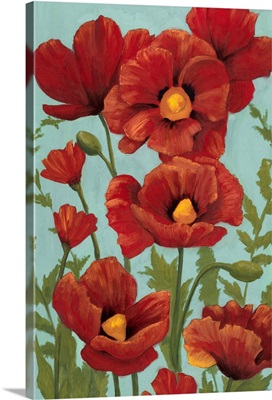 Poppy Promenade I