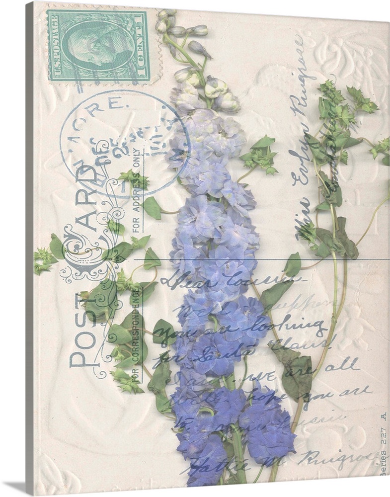 Postcard Wildflowers II