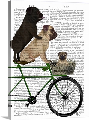Pugs on Bicycle