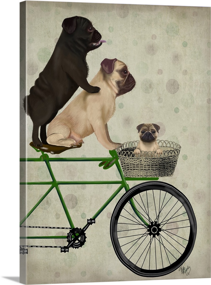 Decorative artwork of two Pugs riding on a green bicycle with a baby pug in the basket on the front.