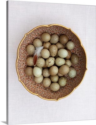 Quail Eggs On Pink Plate