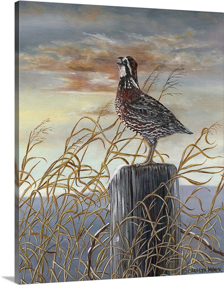Contemporary painting of a quail standing on a wooden post under a sunset sky.