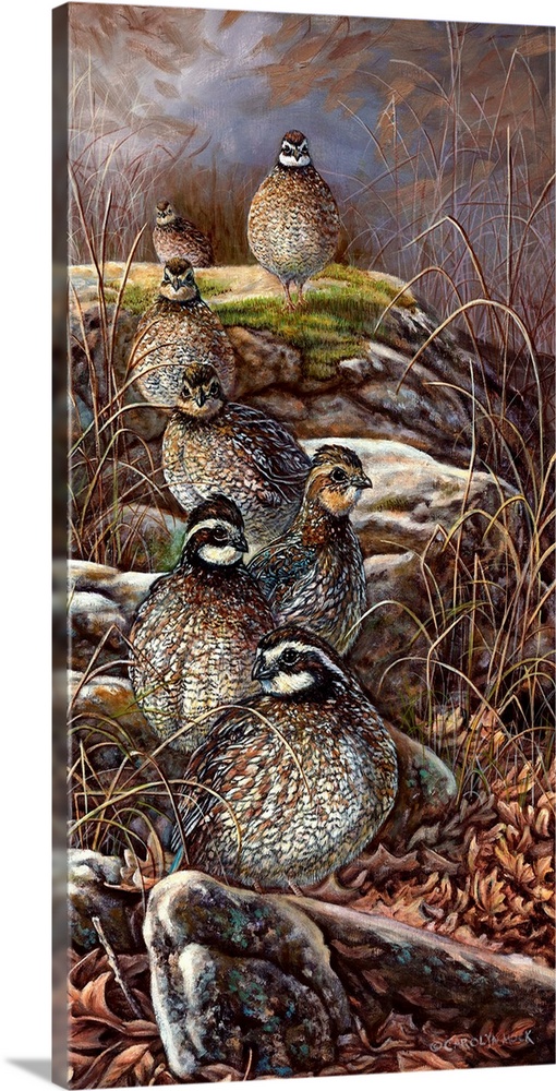 Contemporary painting of quails sitting on rocks.