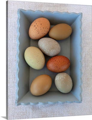 Rainbow Eggs In Blue Box