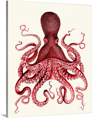 Red Octopus III