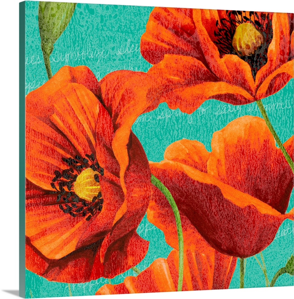 Red Poppies on Teal I