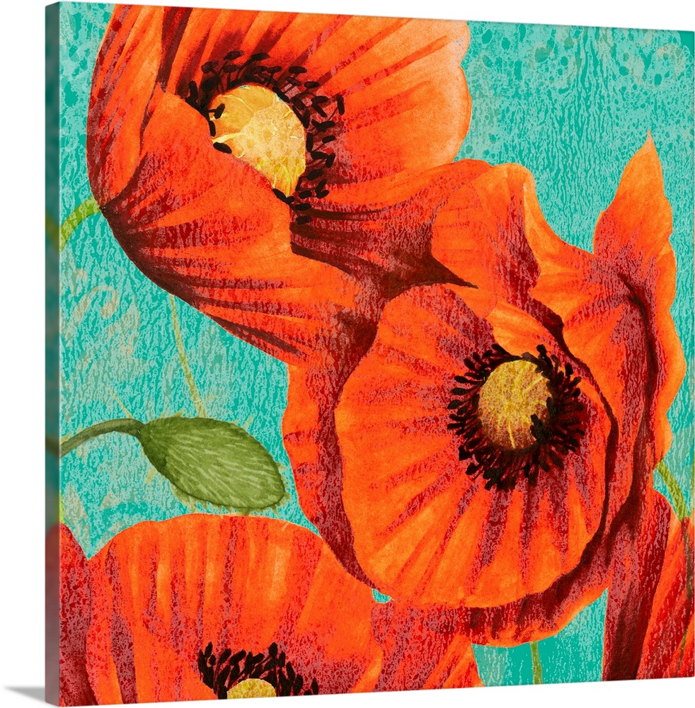 Red Poppies on Teal II