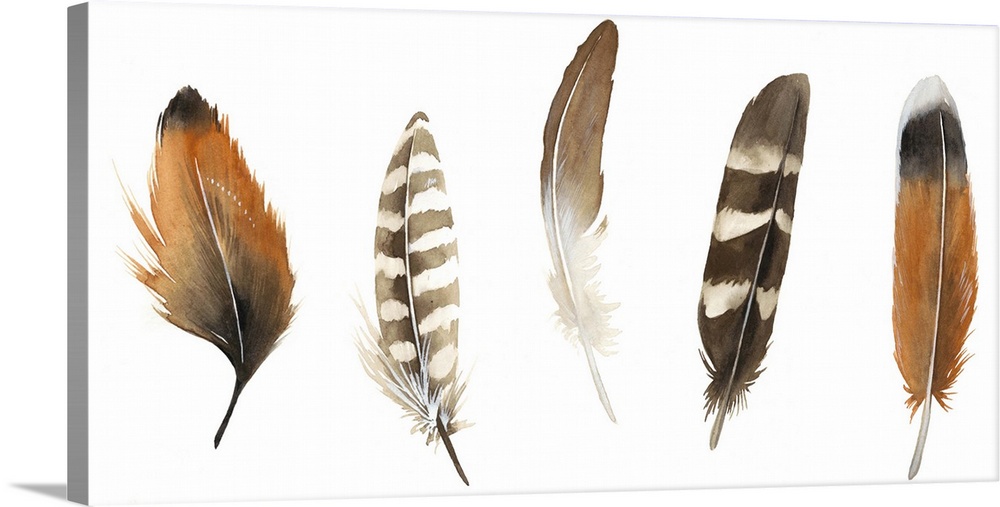 An assortment of five patterned bird feathers.