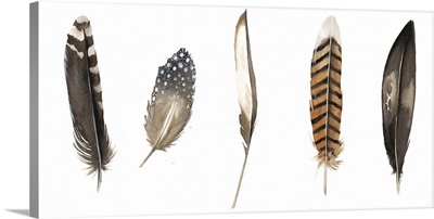 Red Rock Feathers II