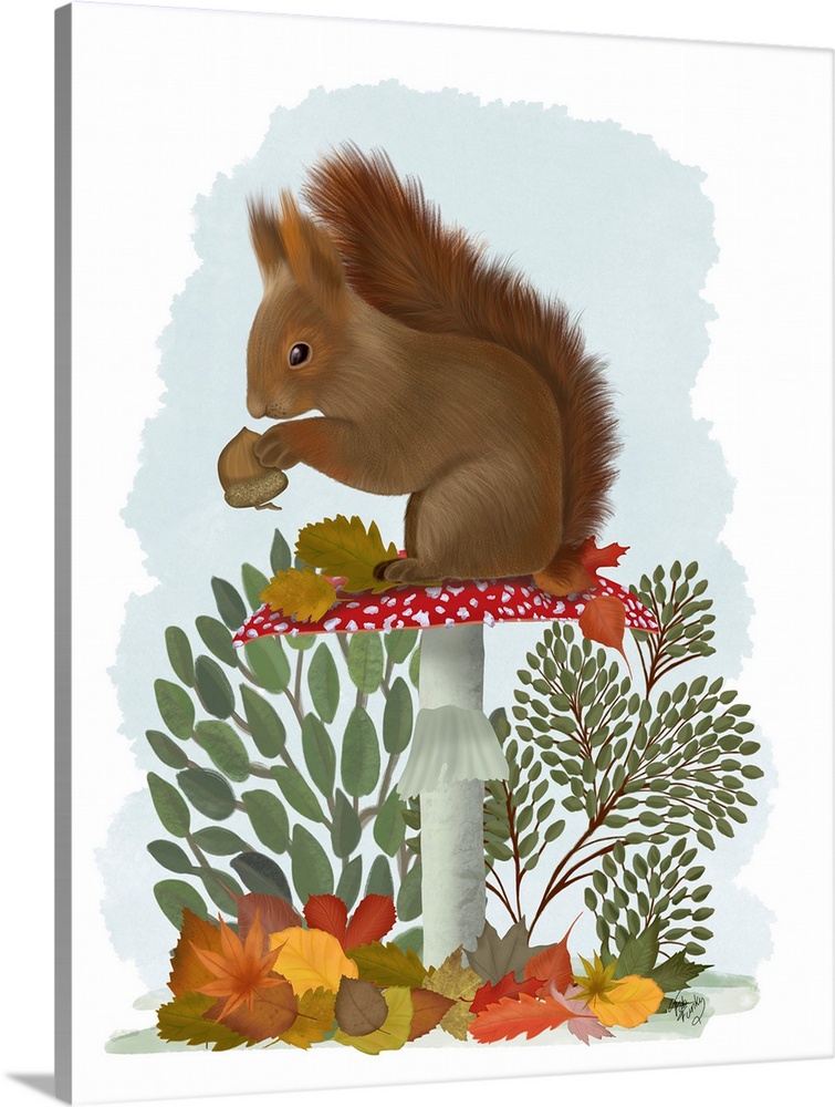 Red Squirrel On Mushroom