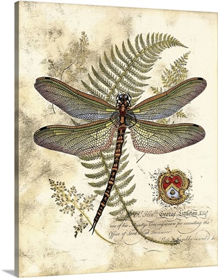 Regal Dragonfly I