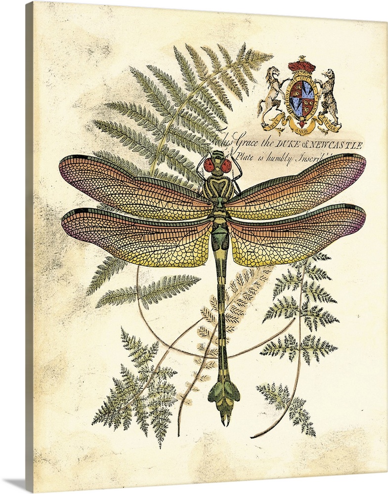 Contemporary artwork of a dragonfly and fern frond against a weathered beige background.