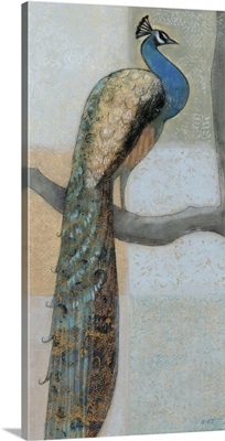 Resting Peacock I