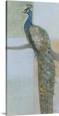 Resting Peacock II