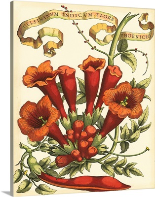 Ribbon Florals IV