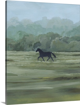 Rider's Shadow II