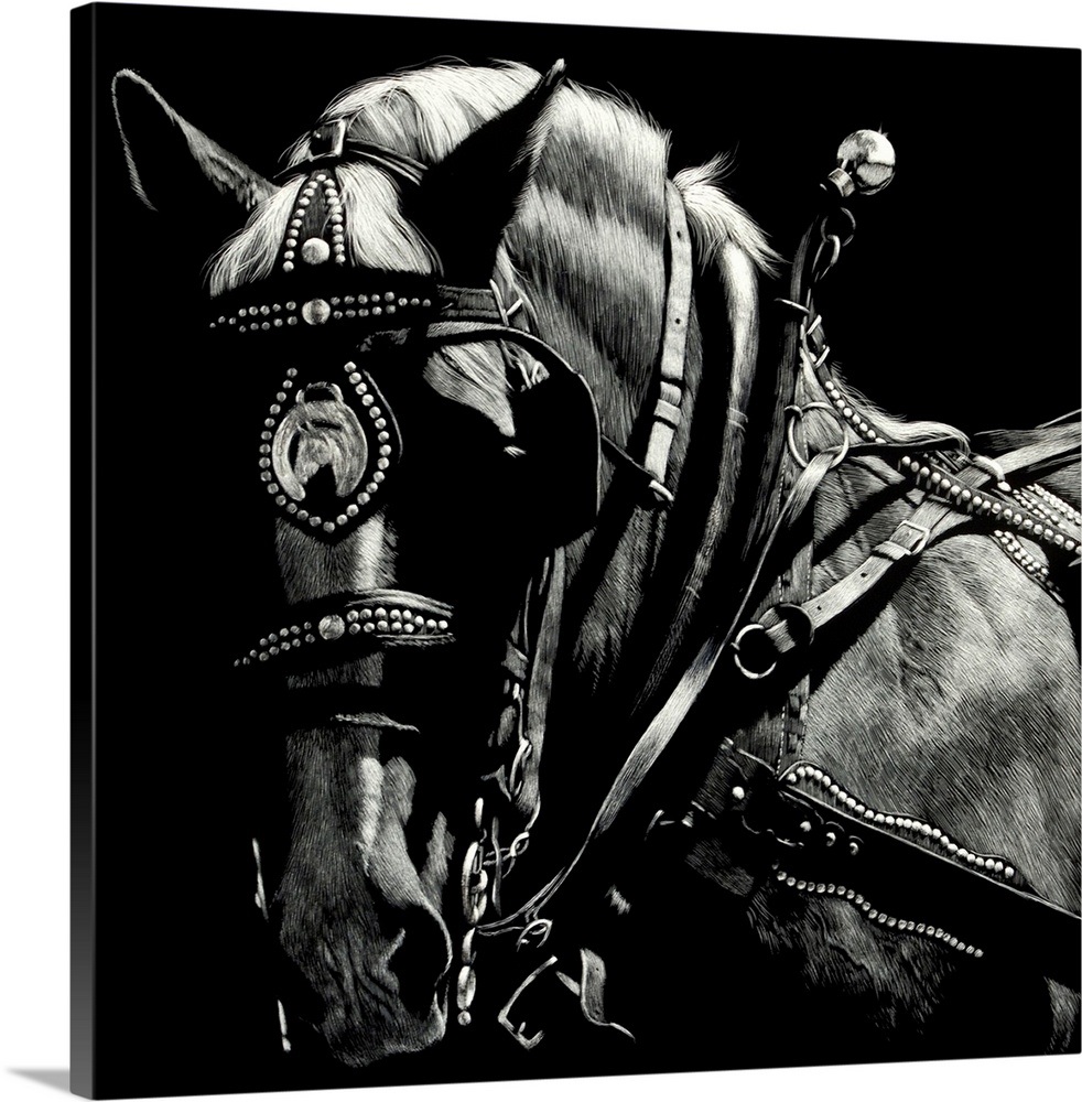 Rigging II Scratchboard Art Wall Art, Canvas Prints, Framed Prints