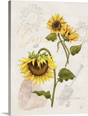 Romantic Sunflower I