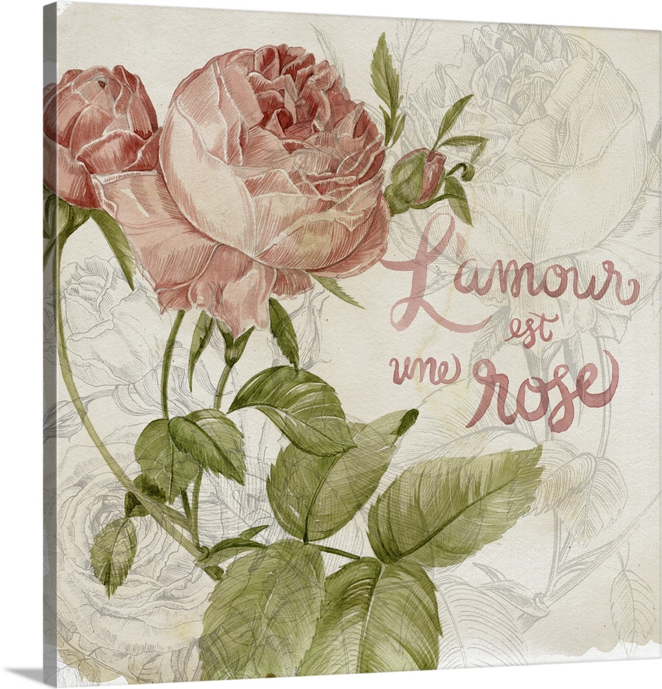 Decorative artwork of illustrated colored roses over rose line art with the words, "L'amour est une rose" . This translate...