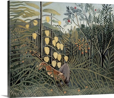 Rousseau's Jungle II