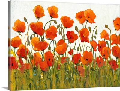 Rows of Poppies I