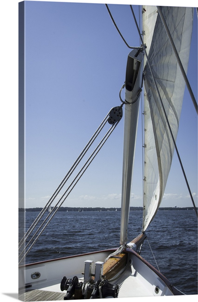 Sailing In The Chesapeake Bay Off Historic Annapolis, MD. I