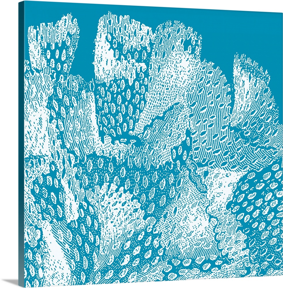 Square wall art featuring outlines of coral in white on a bright aqua background