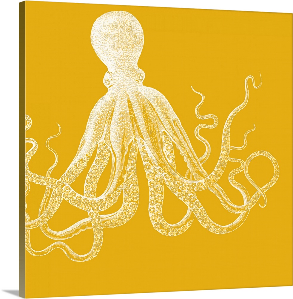 Artwork of an octopus against a bright bold background.