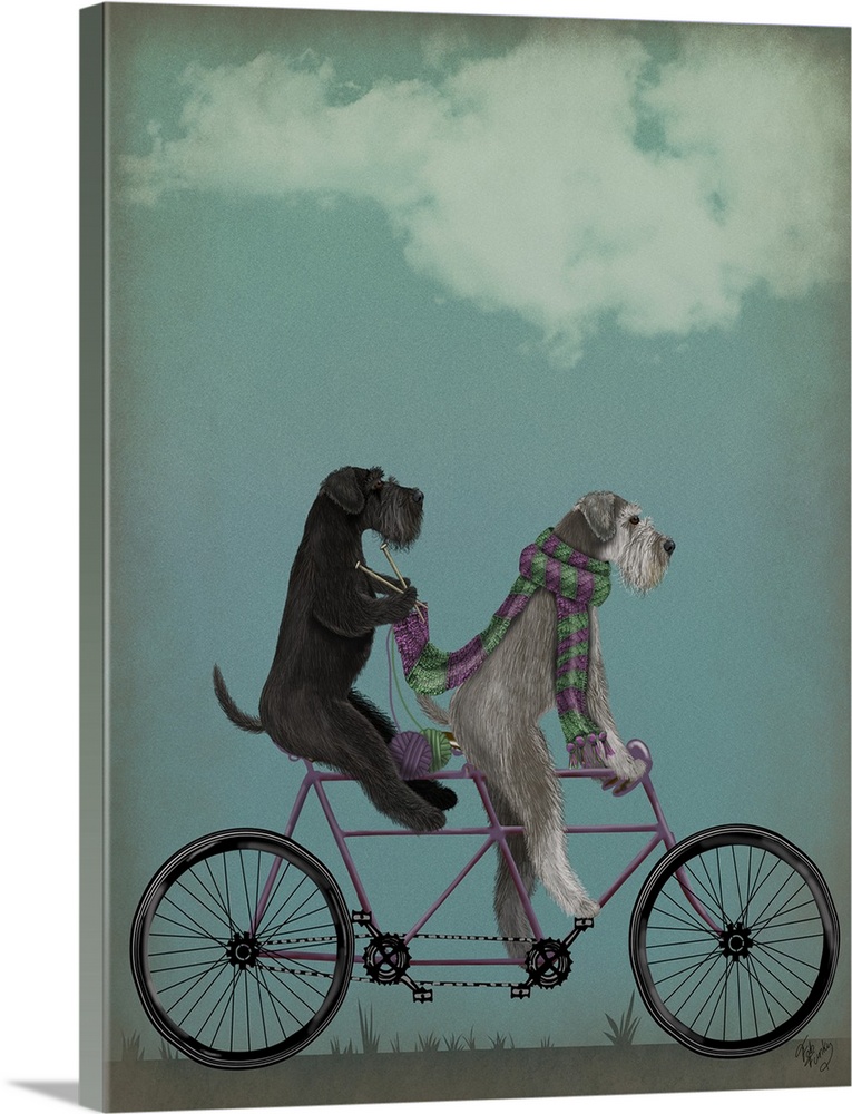 Decorative artwork of two Schnauzers riding on a purple tandem bicycle while the one in the back is knitting the scarf the...