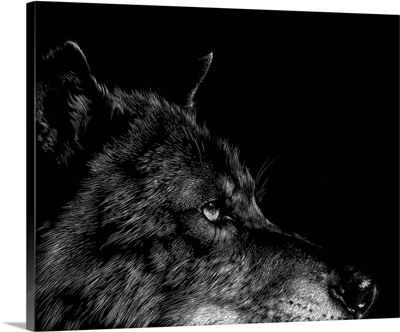 Scratchboard Wolf I