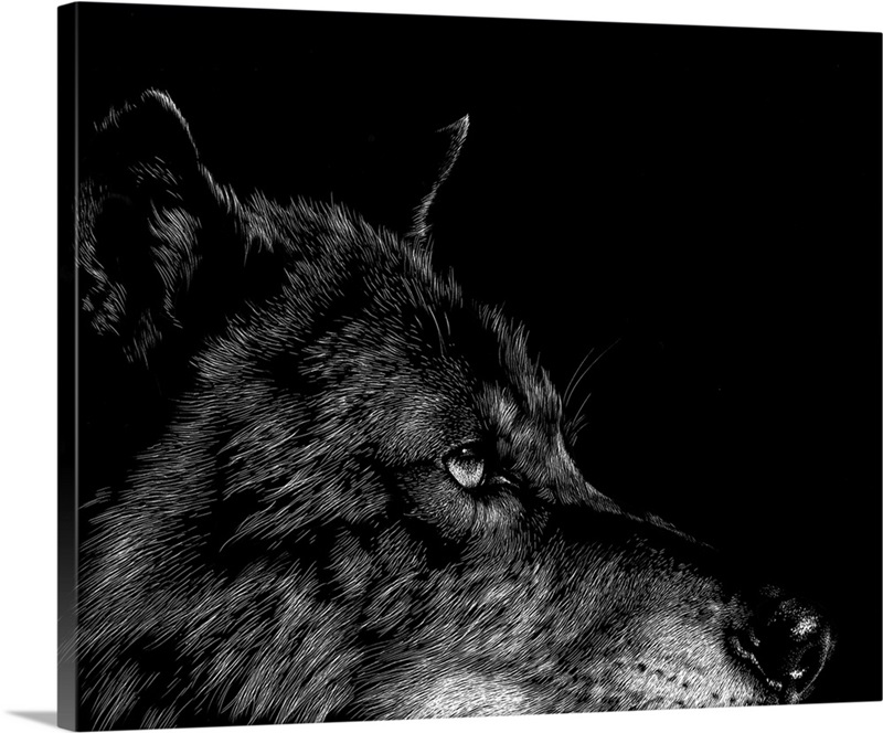 Scratchboard Wolf I Great Big Canvas