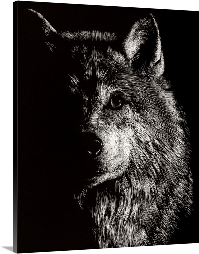 Scratchboard Wolf III | Large Metal Wall Art Print | Great Big Canvas