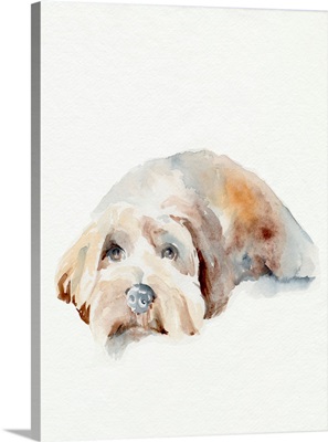 Scruffy Puppy II