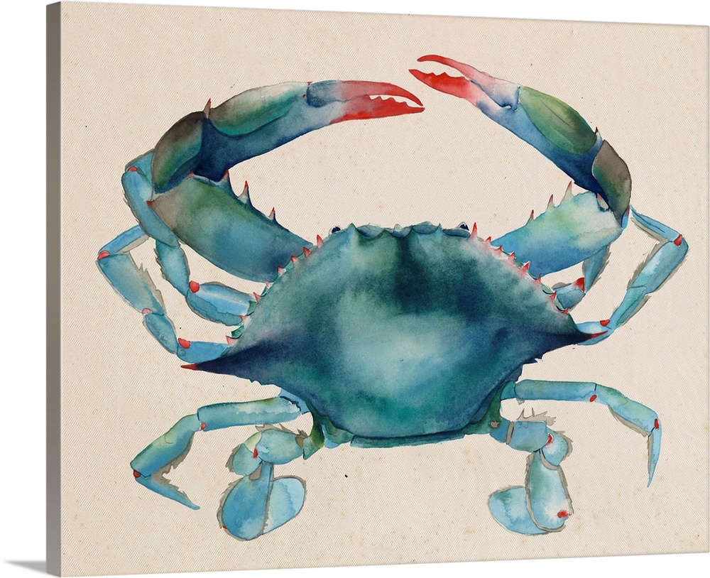 Contemporary watercolor painting of a crustacean against a neutral background.