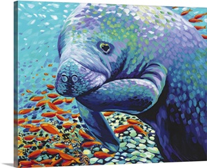 Manatee Wall Art Canvas Prints Manatee Panoramic Photos Posters Photography Wall Art Framed Prints Amp More Great Big Canvas