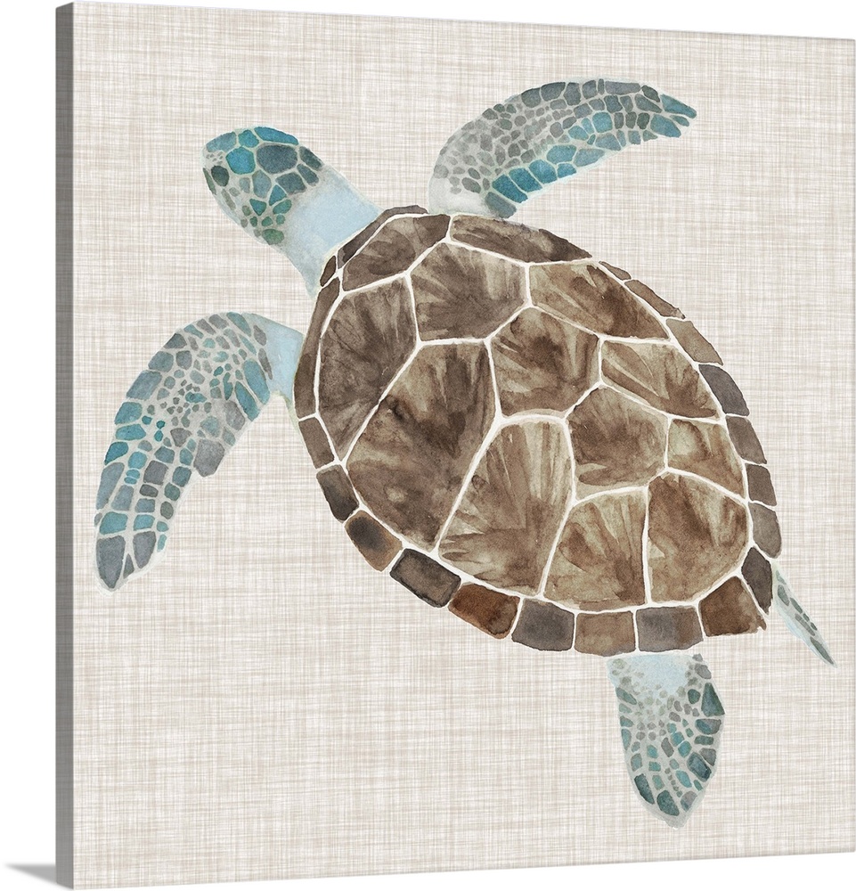 Sea Turtle II Wall Art, Canvas Prints, Framed Prints, Wall Peels ...