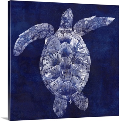 Sea Turtle Shadow II