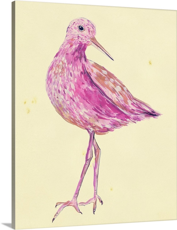 Seabird I Wall Art, Canvas Prints, Framed Prints, Wall Peels Great