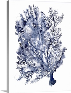 Seaweed Under Water II image thumbnail