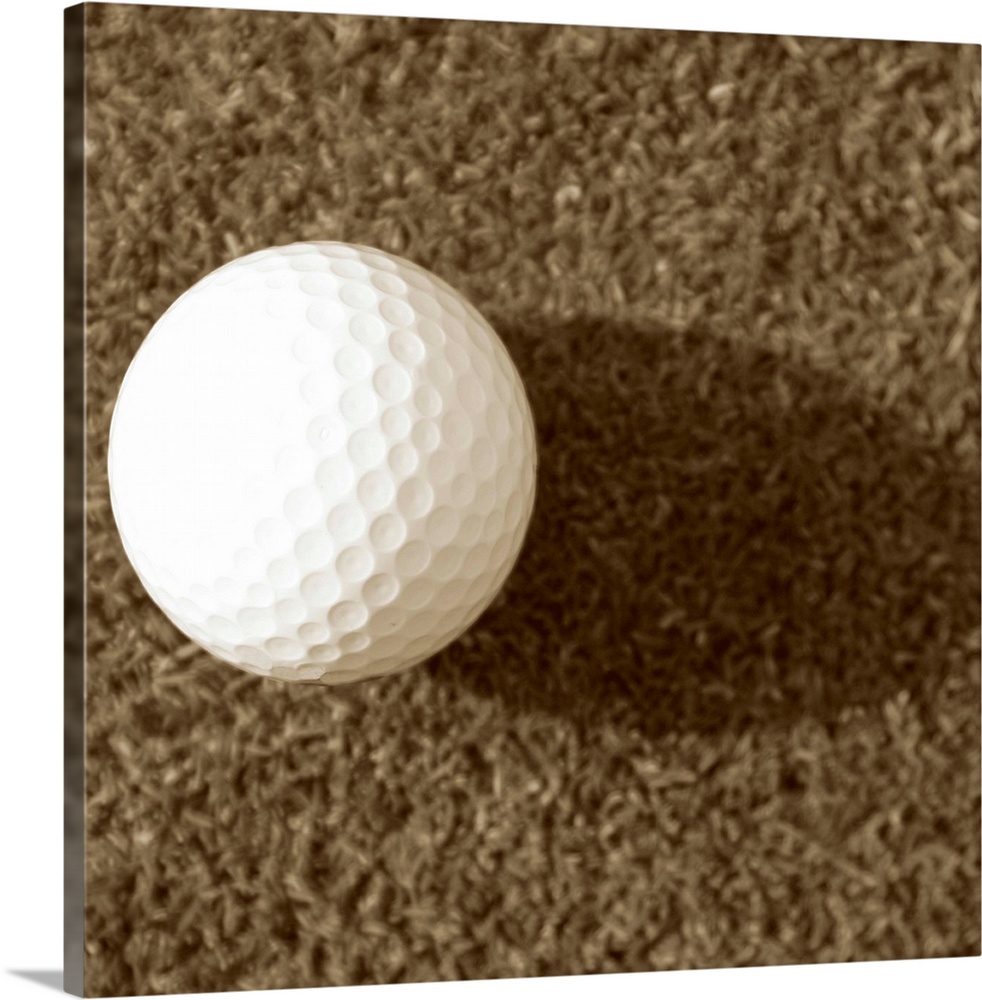 Sepia Golf Ball Study III