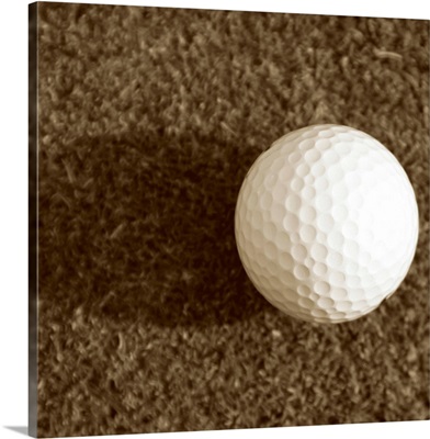 Sepia Golf Ball Study IV