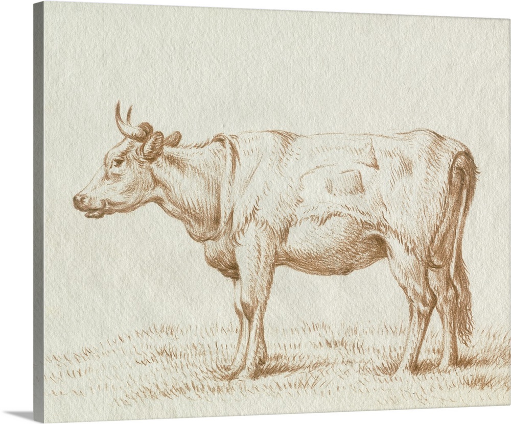 Sepia Grazing Cow Sketch II