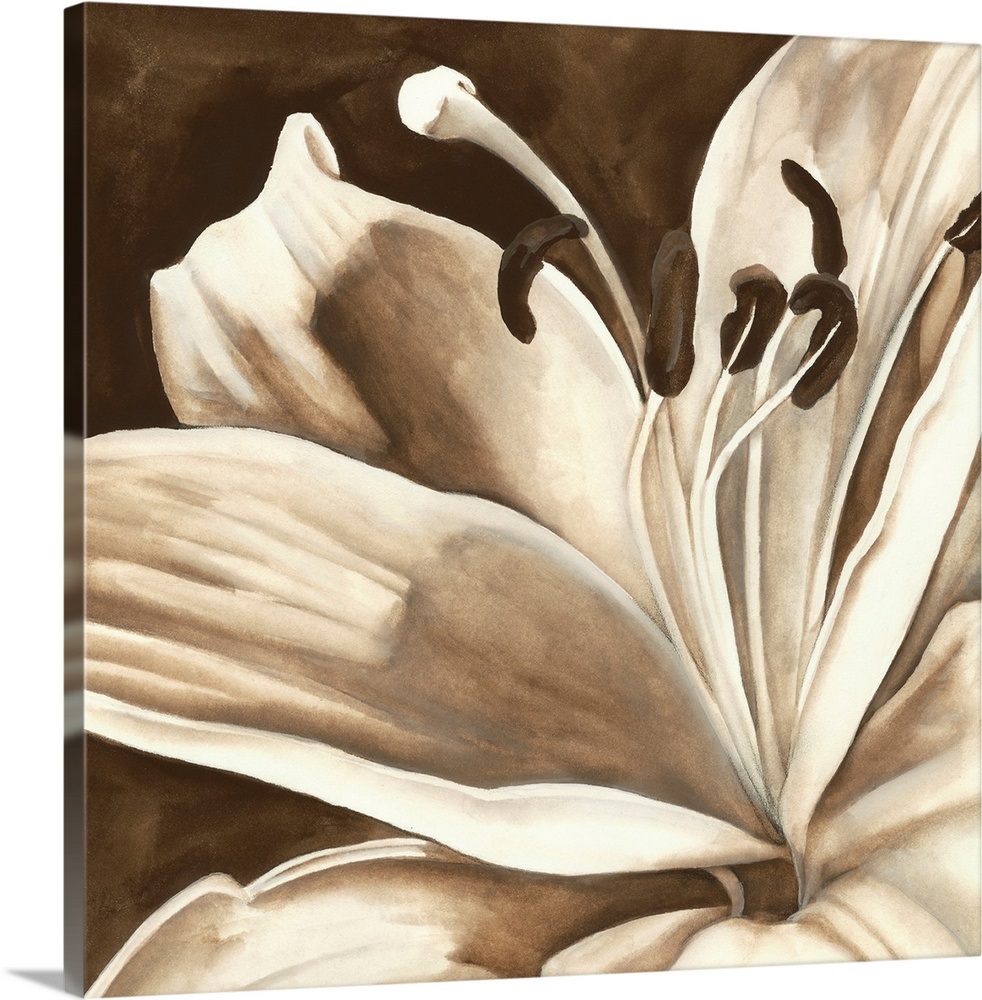 Sepia Lily I Wall Art, Canvas Prints, Framed Prints, Wall Peels Great