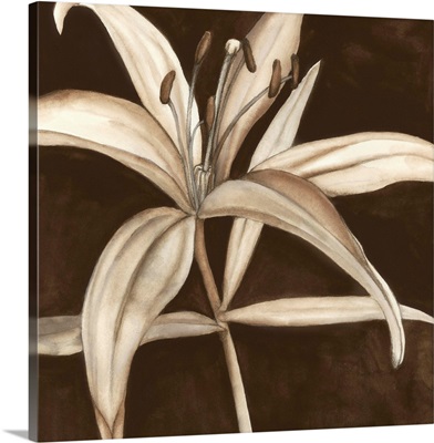 Sepia Lily II