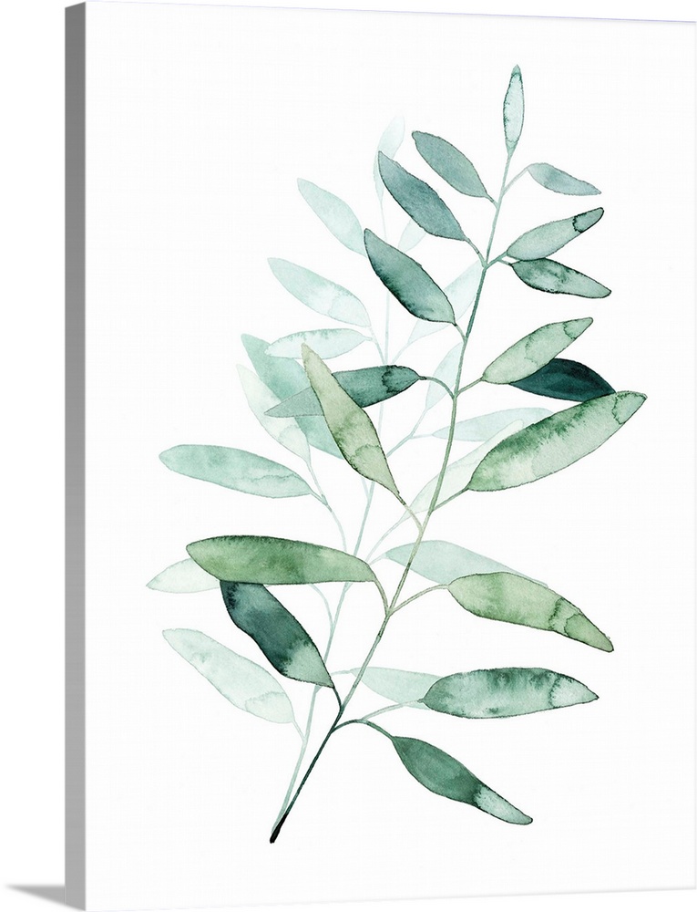 Watercolor artwork of a plant with pale green leaves.