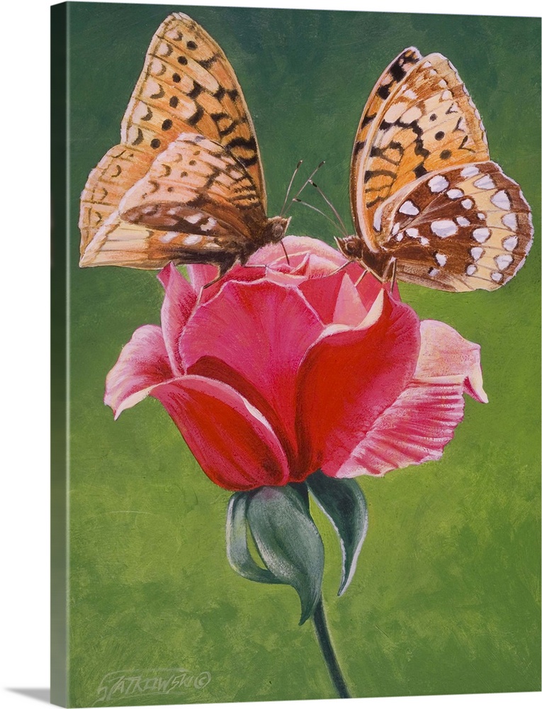 Contemporary painting of two spangled fritillary butterflies perched on a rose.
