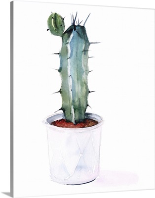 Sharp Succulents I