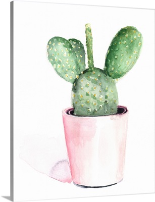 Sharp Succulents III
