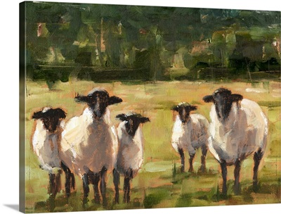 Sheep Family I